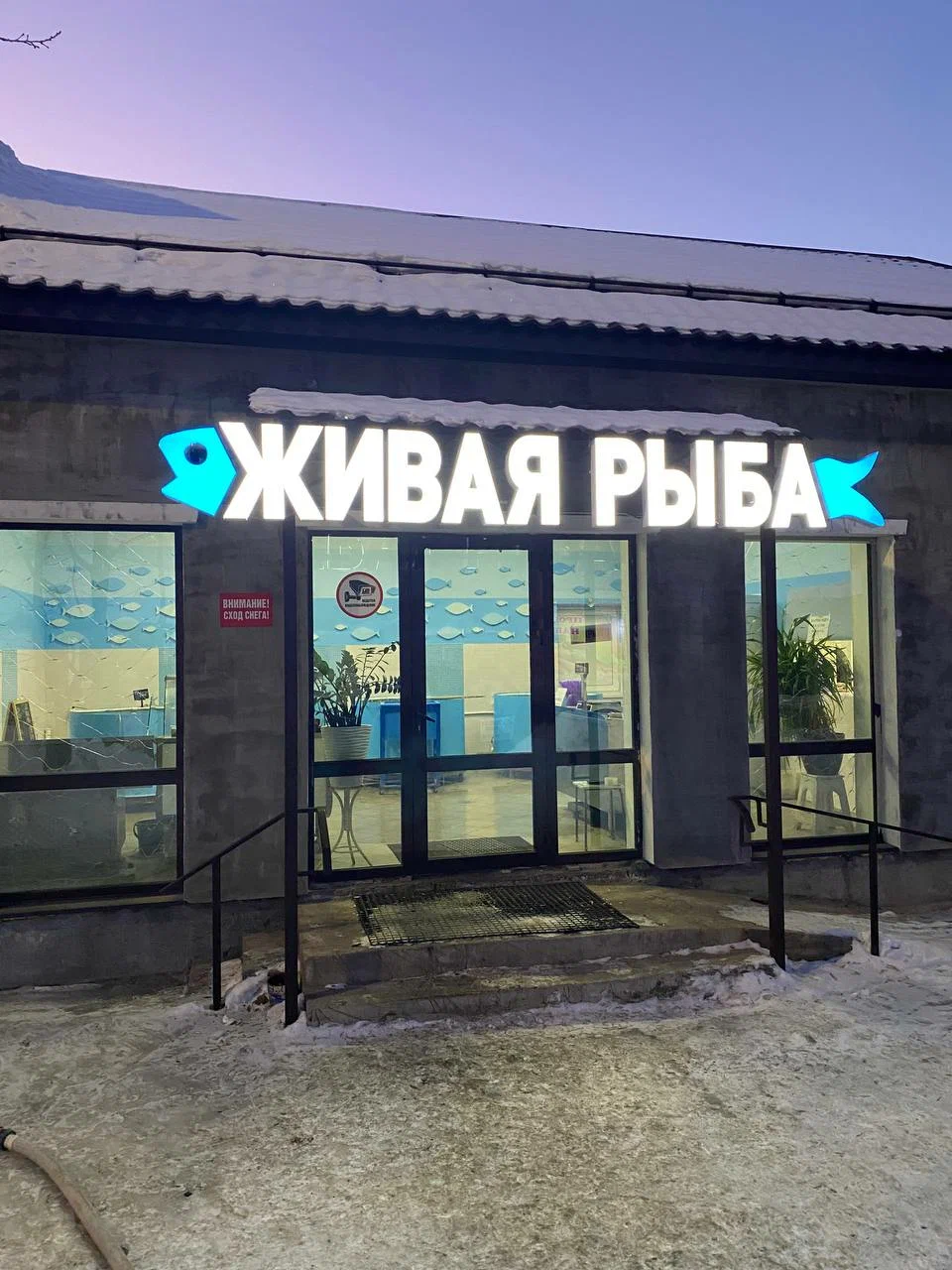 Рыба и морепродукты